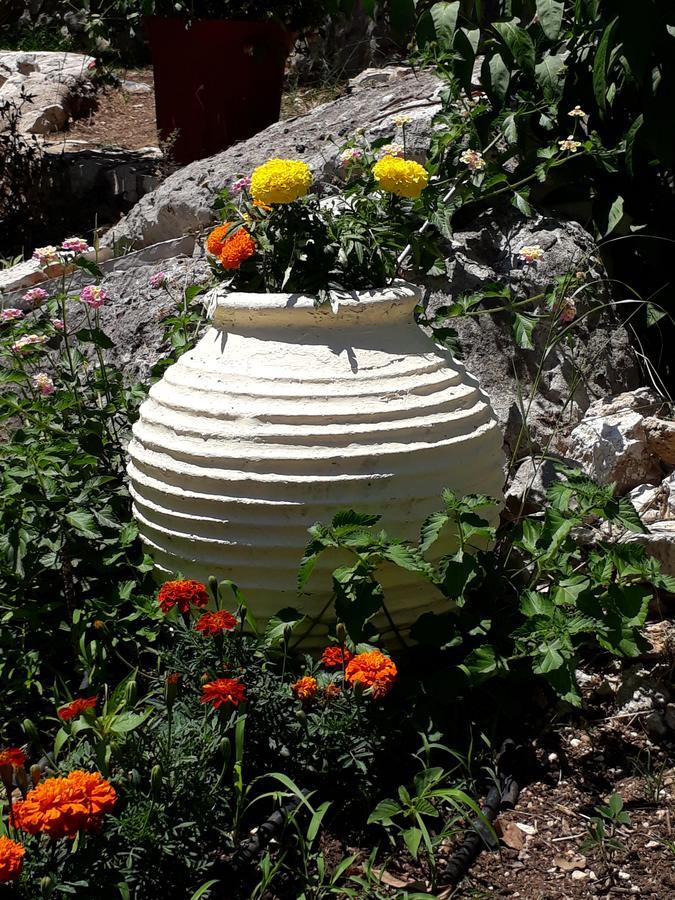 La Casa Di Nonna Anna 3* Никиана